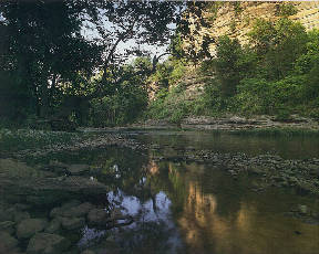 Elkhorn Creek by Gene Burch